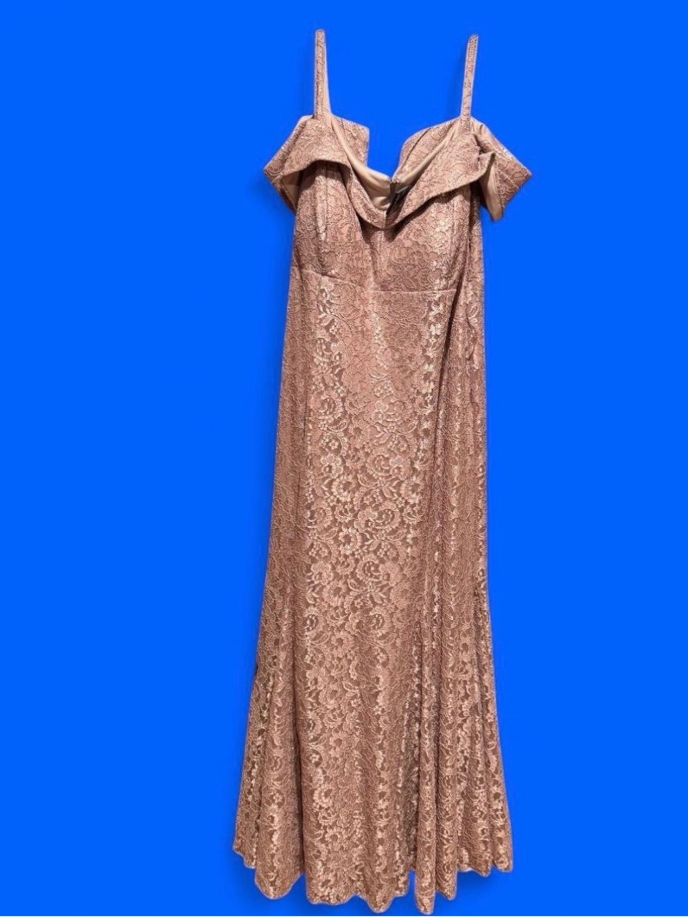 R&M Richards Rose Gold Lace Mermaid Evening Gown 20W